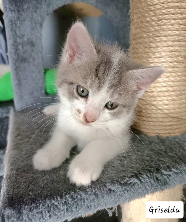 649c78cea836f856639124