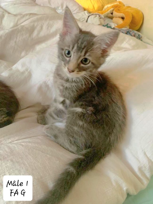 649c816f49778933412421