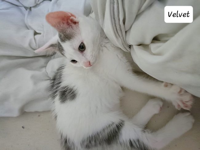 64a27d731a33a345024507