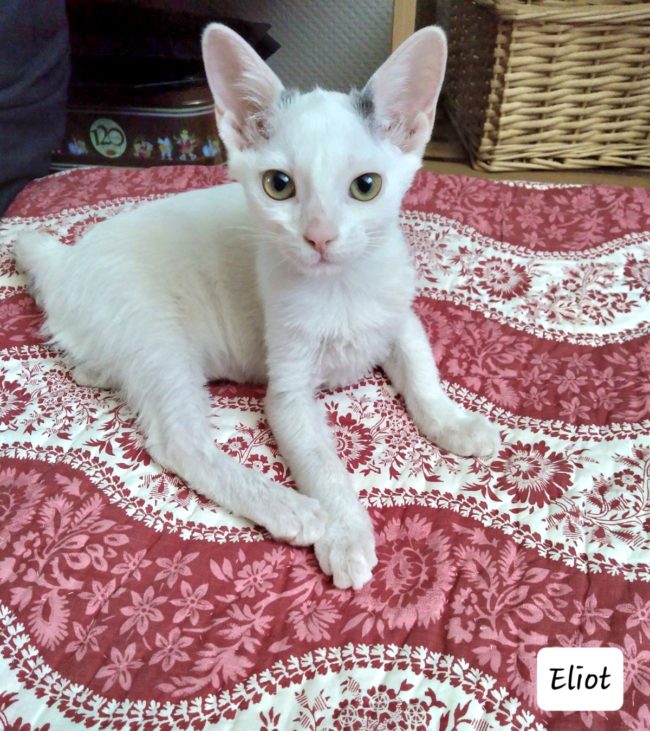 IMG-20230710-WA0051 (1)