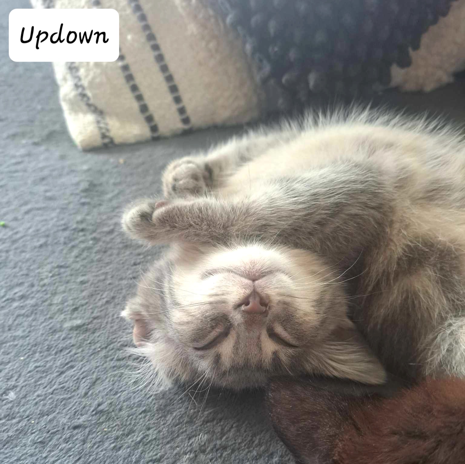 received_1241791459871388