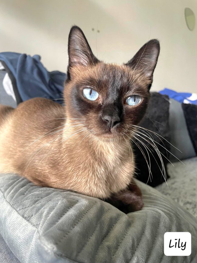 received_193570970233374