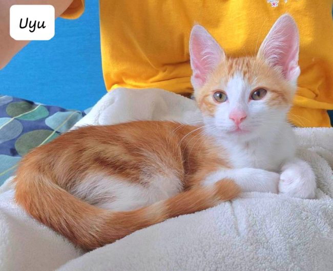 64c907763a7ae576597656