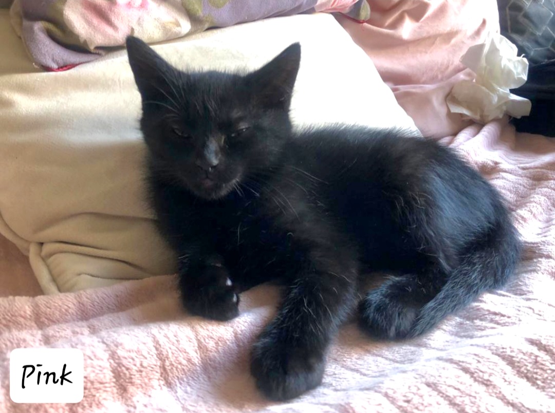 Screenshot_20230819_191816_Gallery