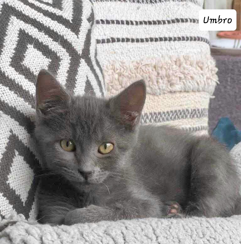 received_826926915387246