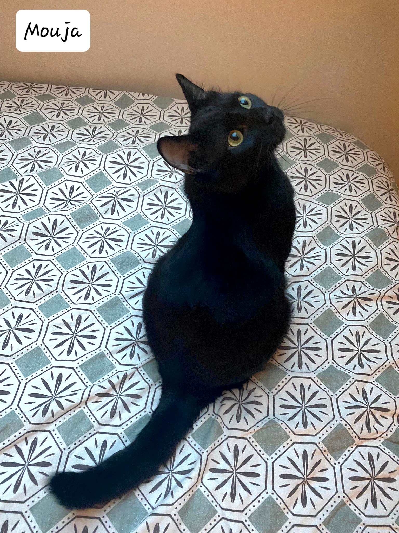 IMG-20230829-WA0002 (1)