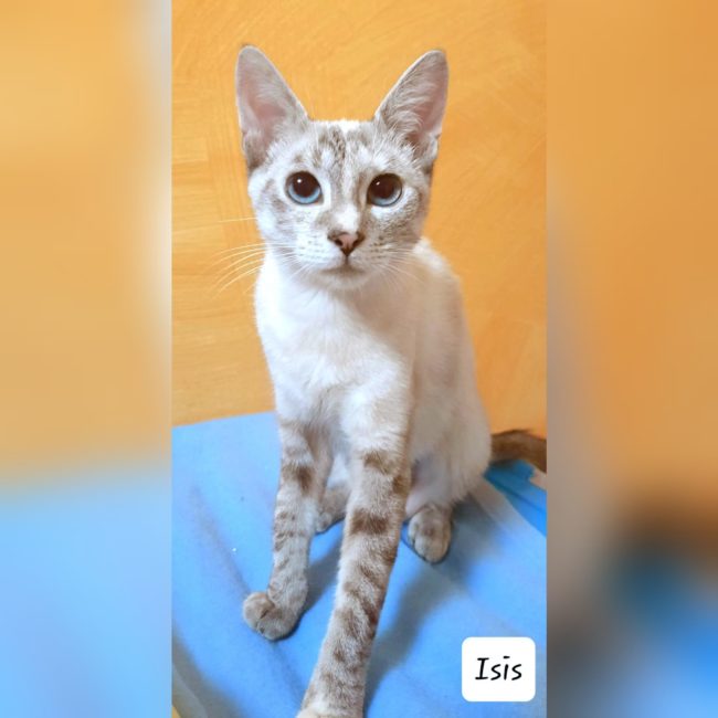 InCollage_20231009_172557424