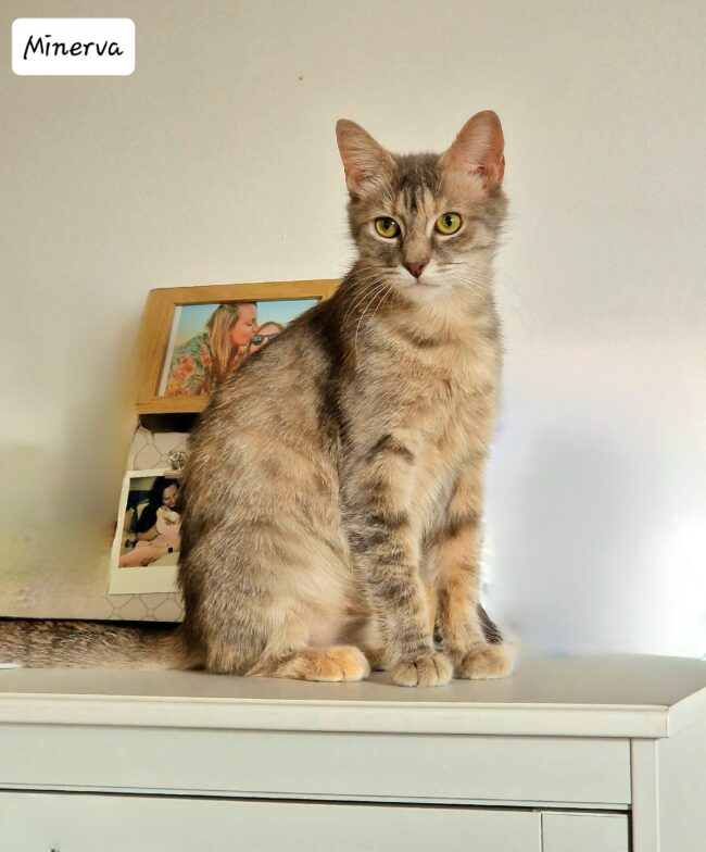 IMG-20231027-WA0038(1)