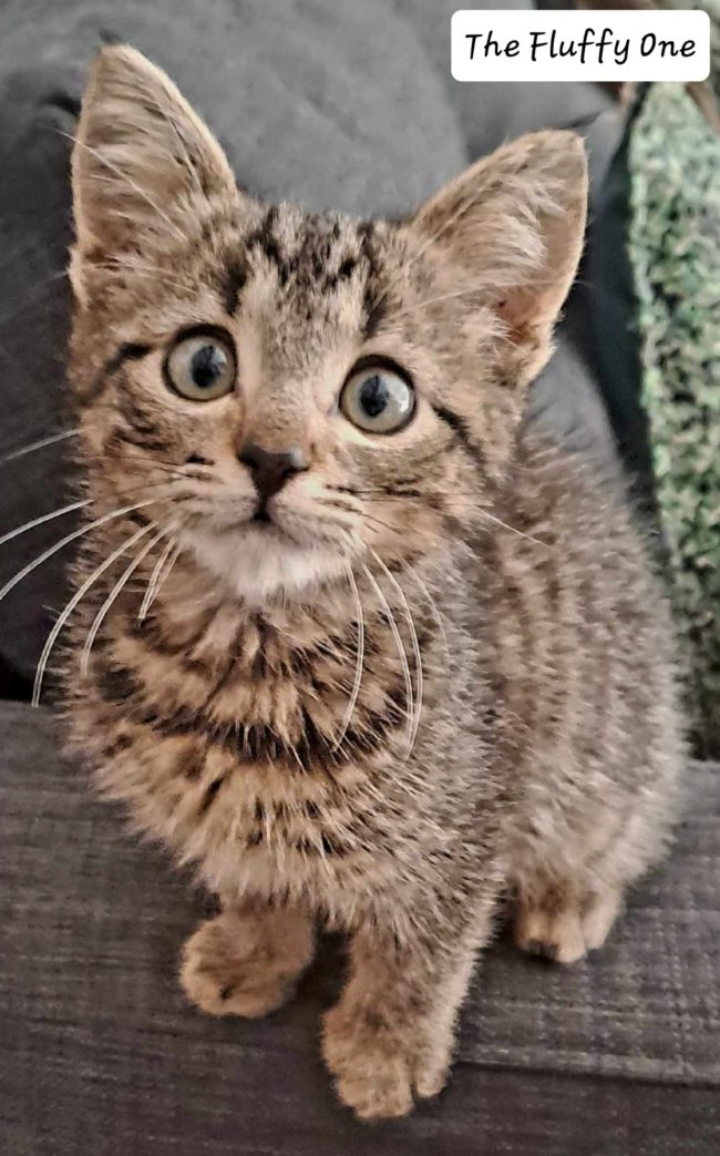 received_1042680830220435