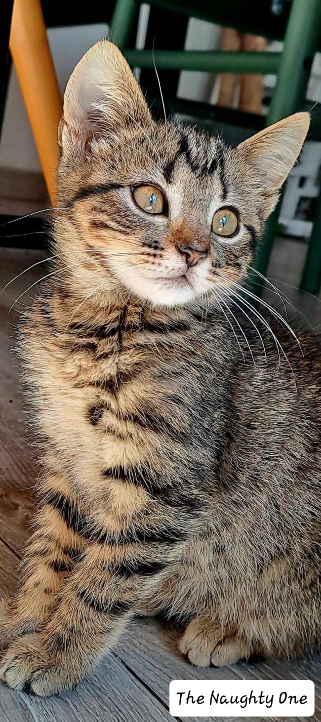 received_1448964392552310