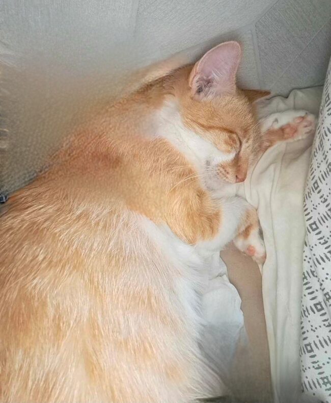 received_2030133300666607