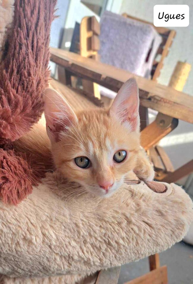 received_237471822655508