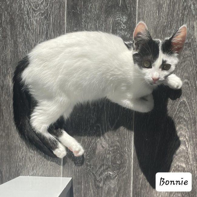 received_284320871107704