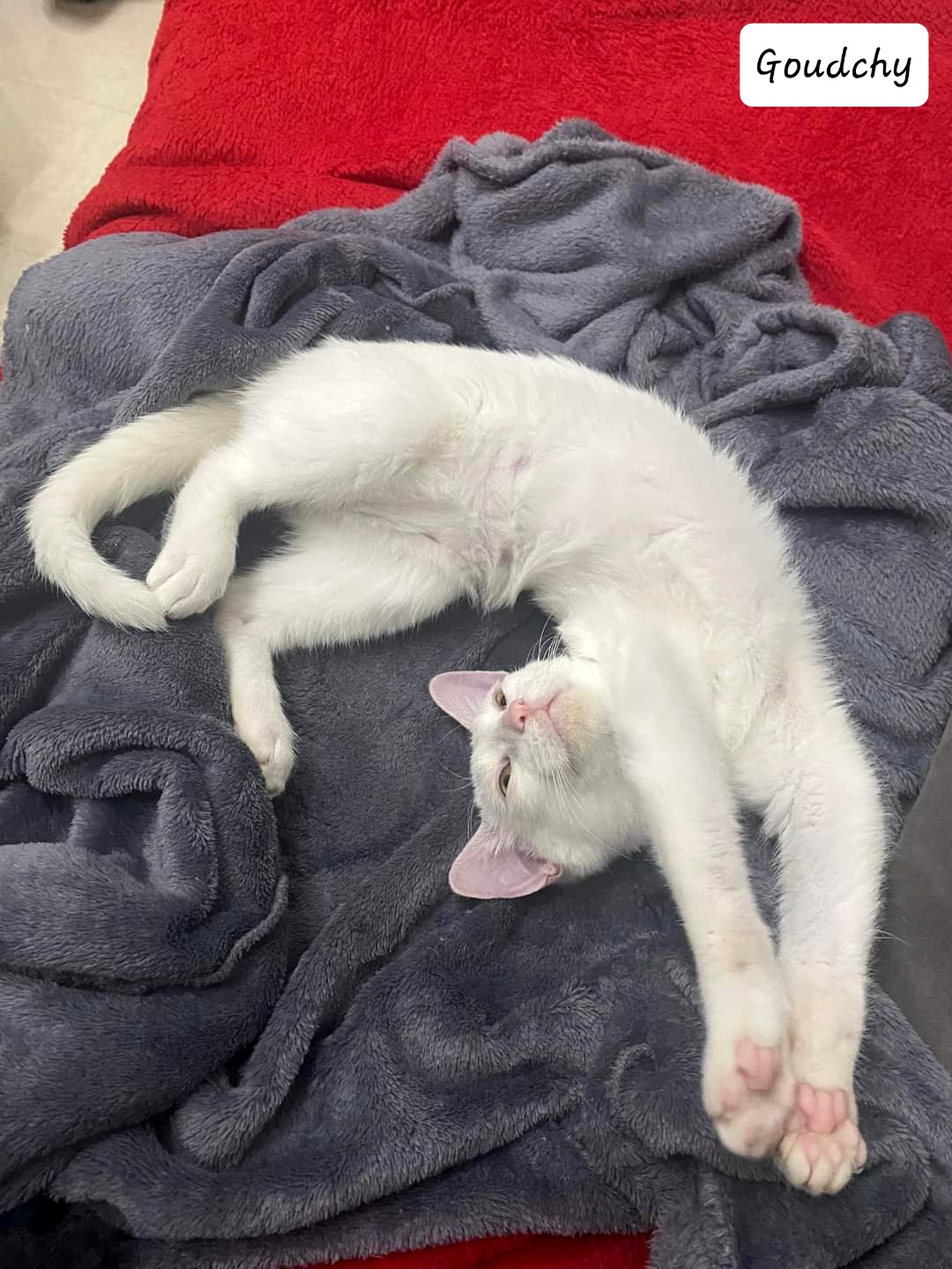 FB_IMG_1700726609863