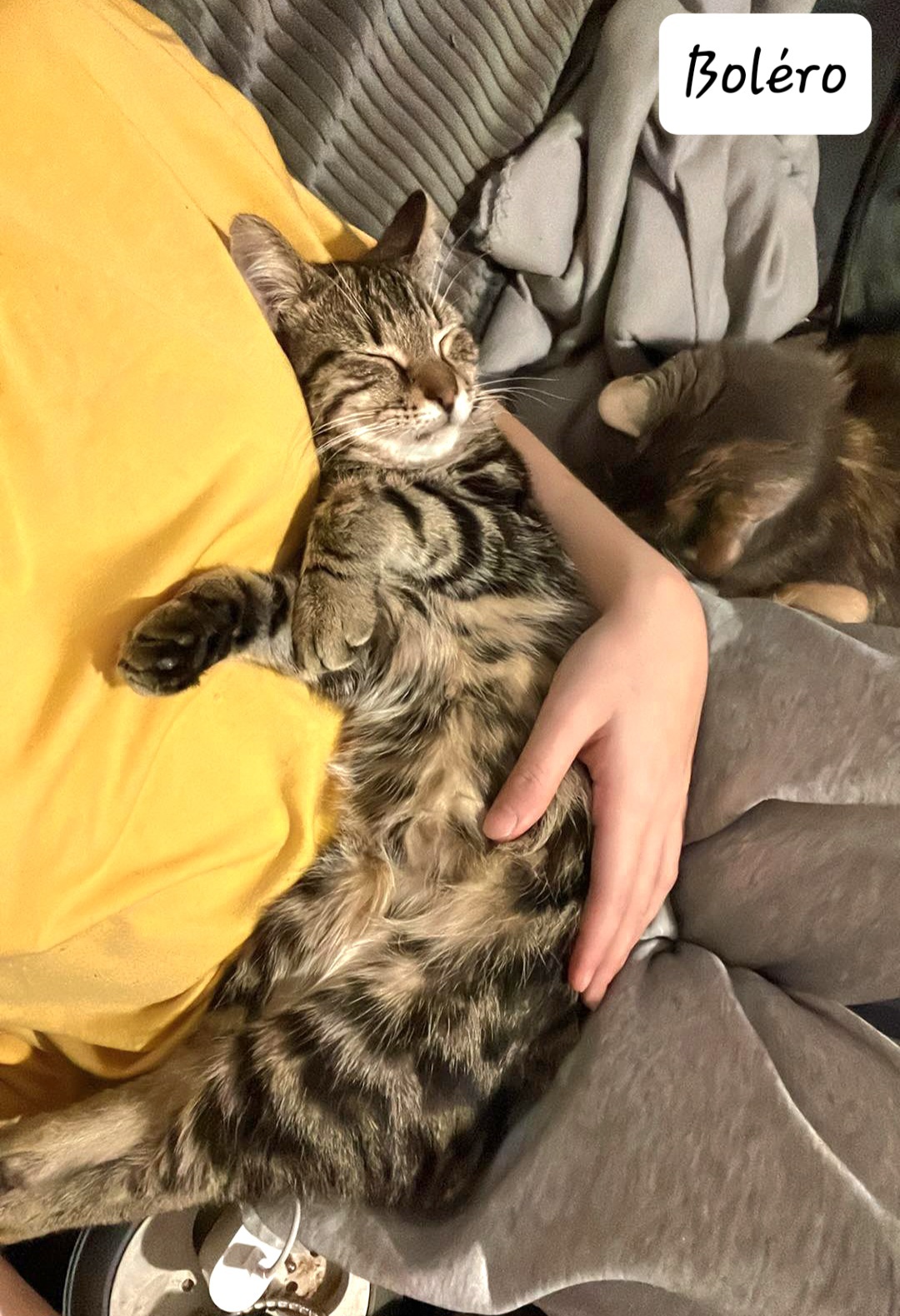 received_1007891720320782