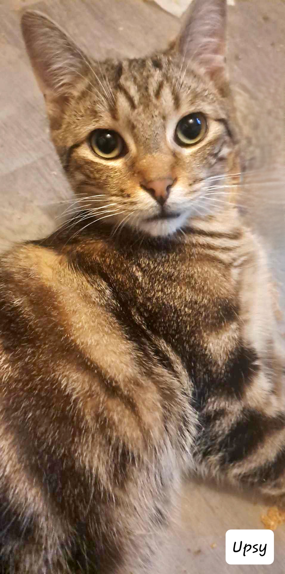 received_366661332400629