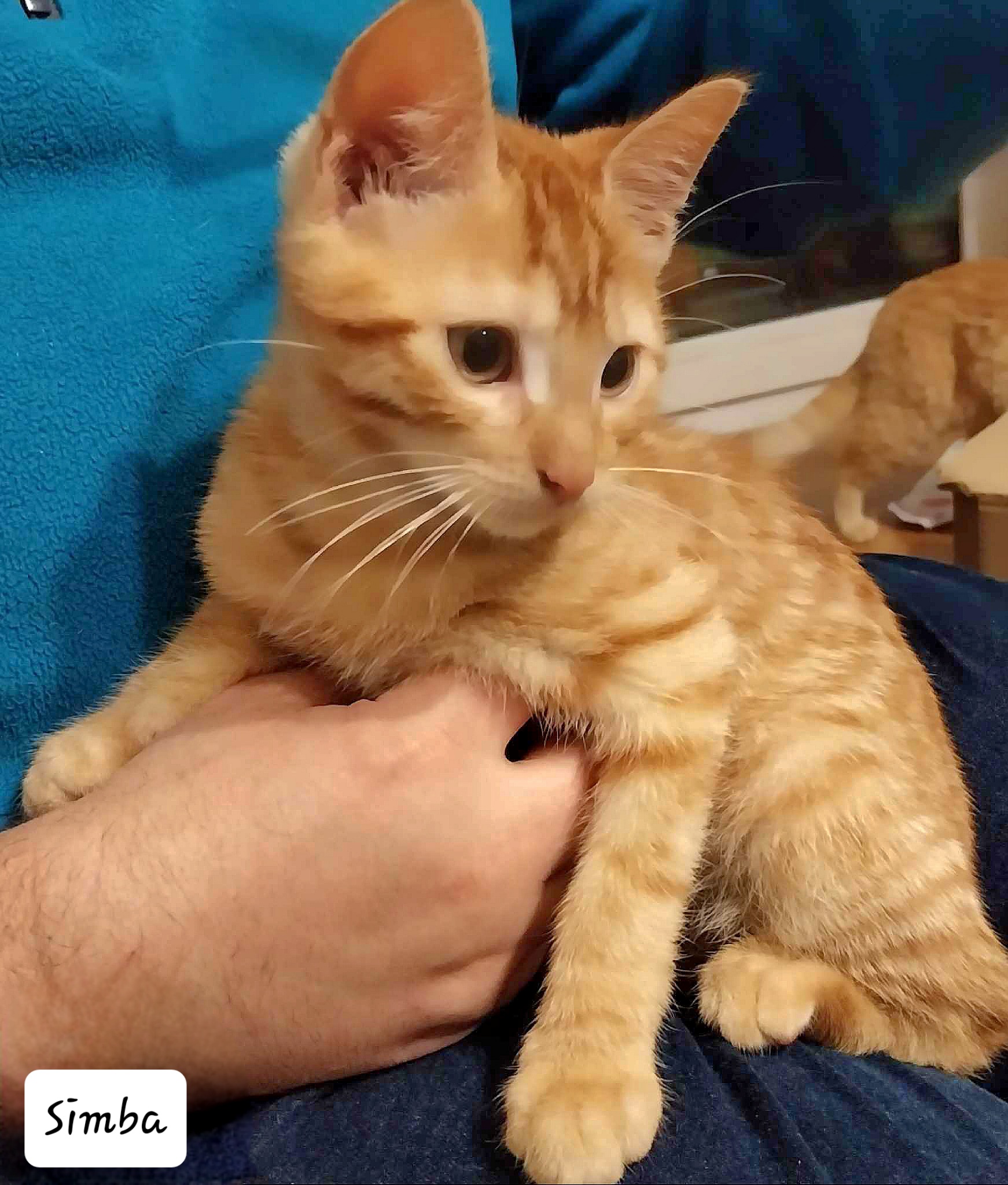 received_641834538150830