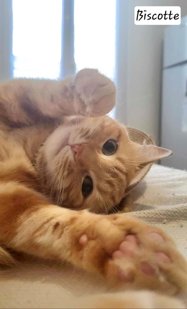 received_2104178073249162