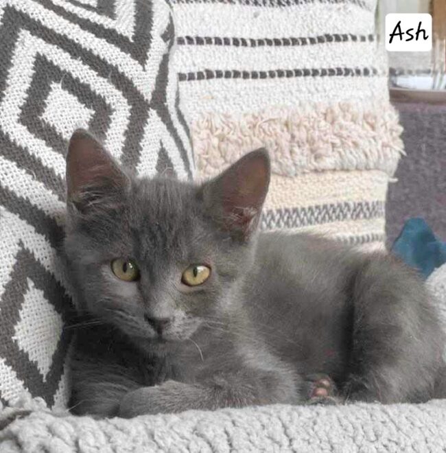 received_826926915387246