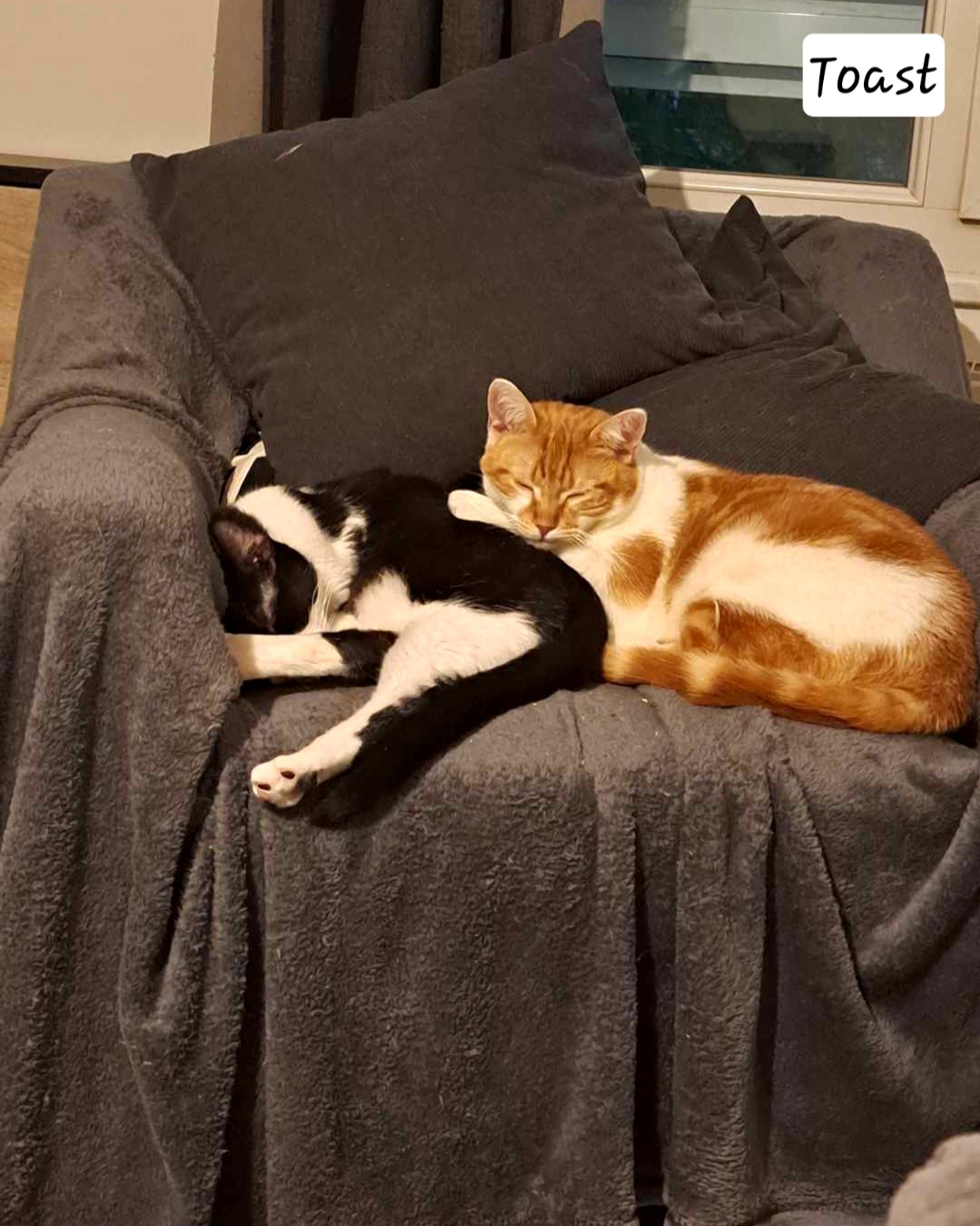 received_832818175264646