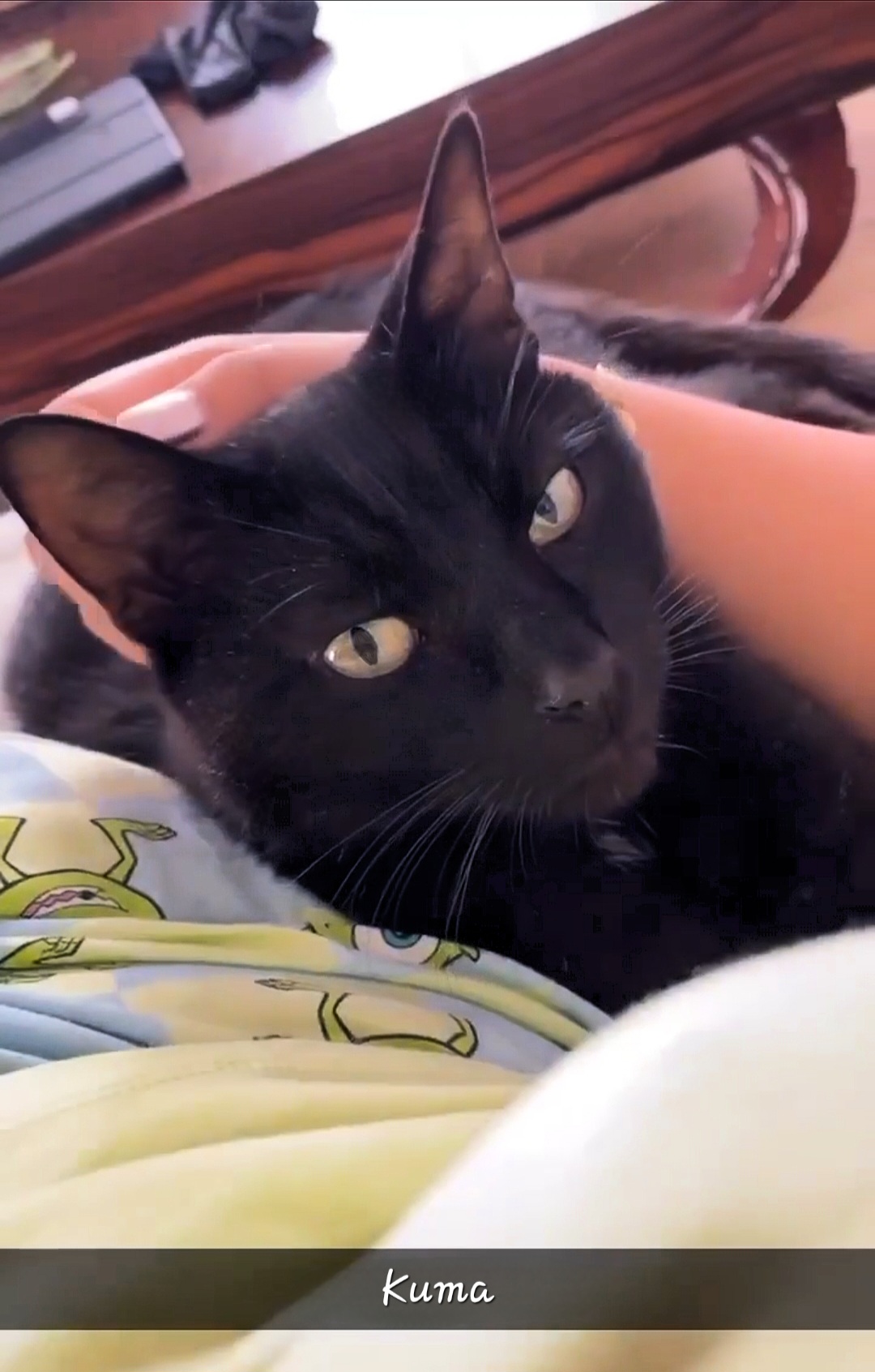 Screenshot_20240227_232027_Gallery