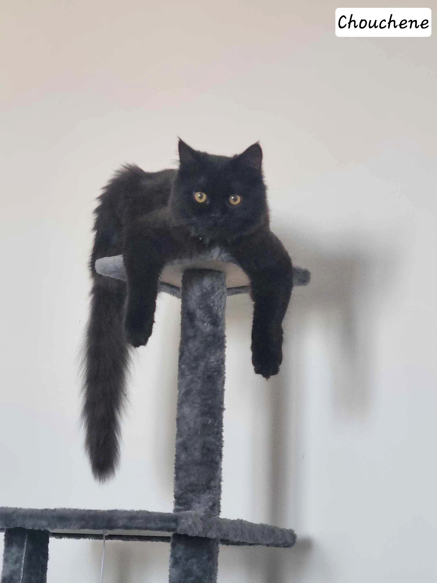 received_1355552525153662