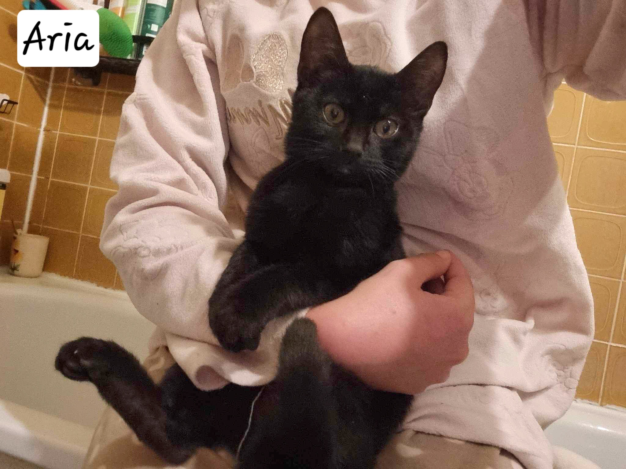 received_780484024176882