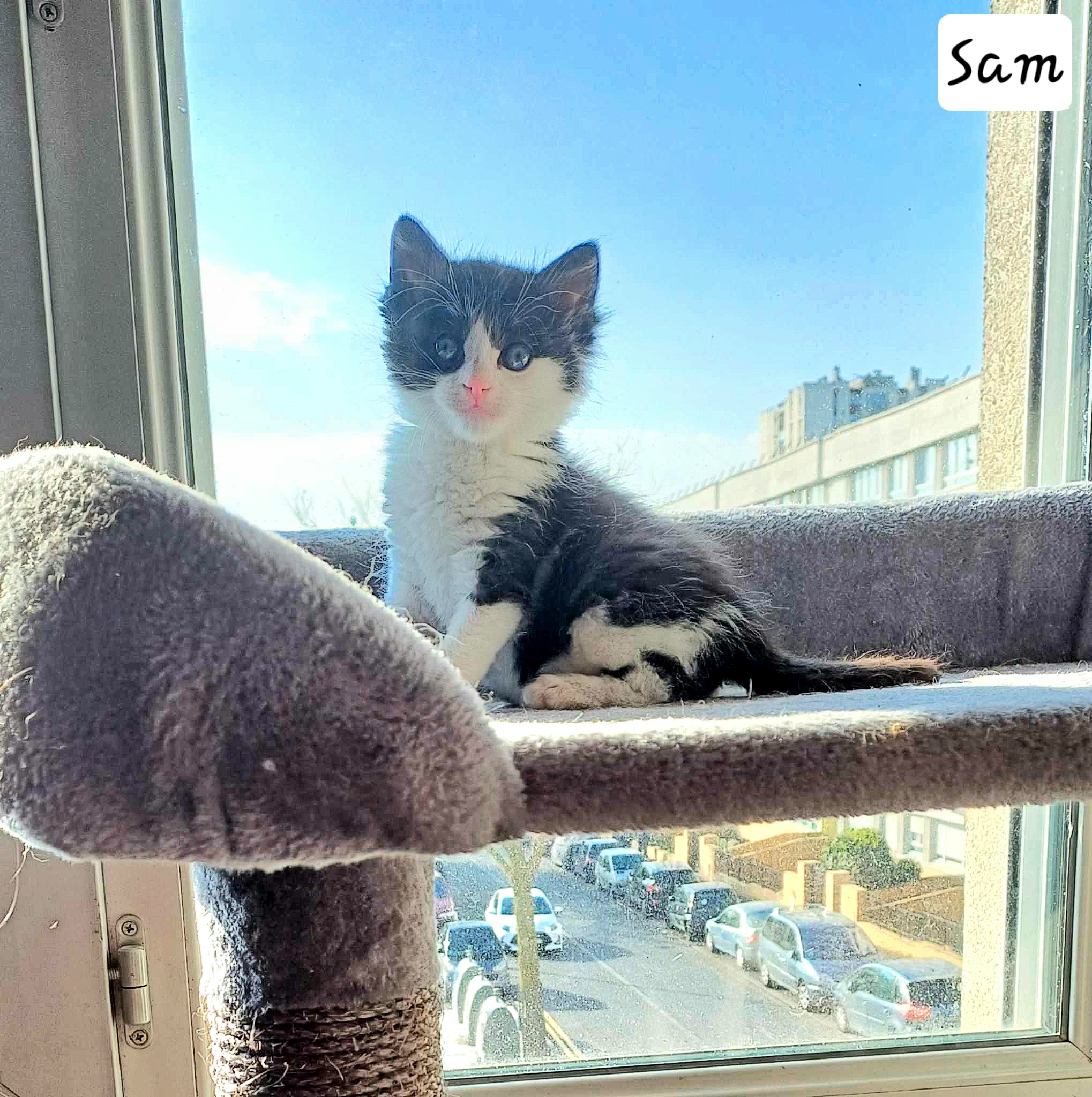 received_8252168611493156