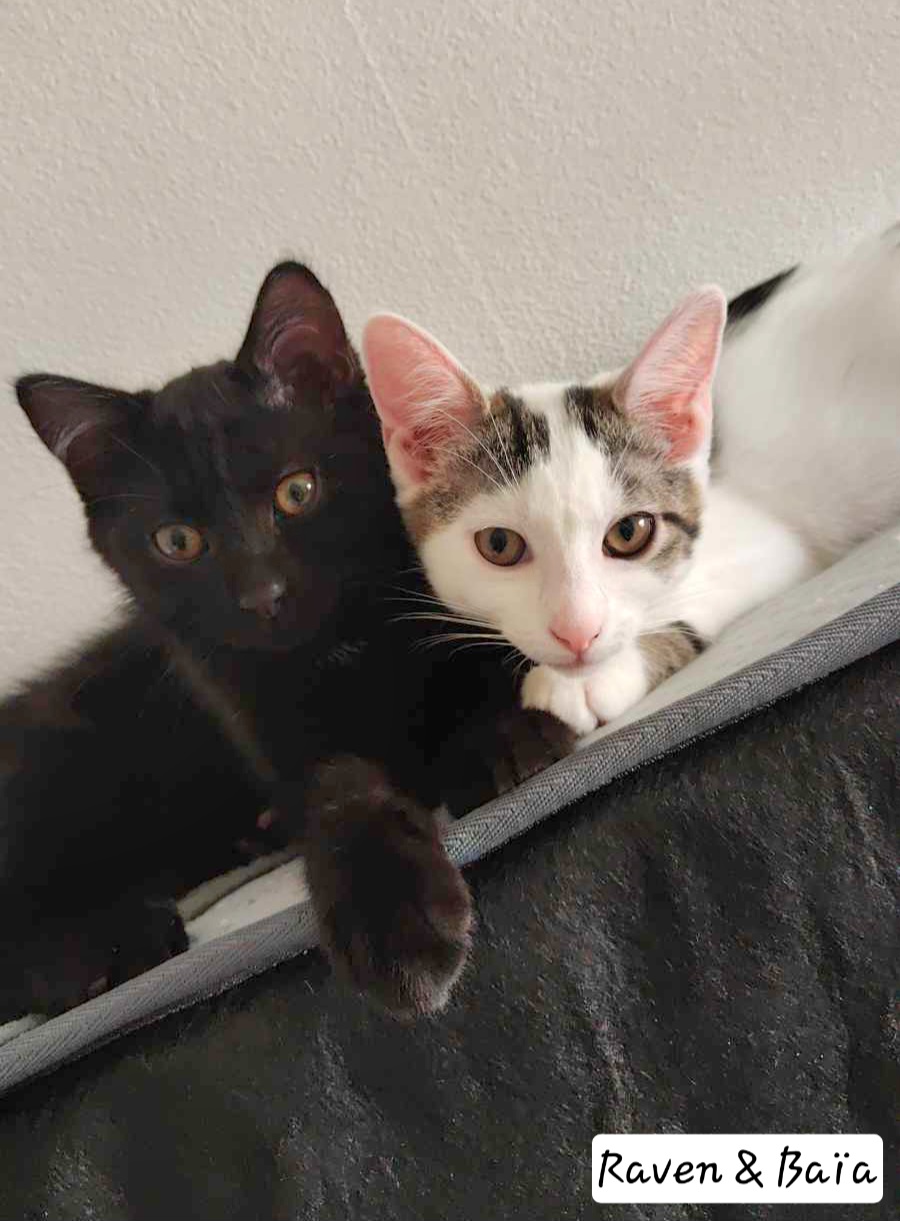 received_1831942367287469