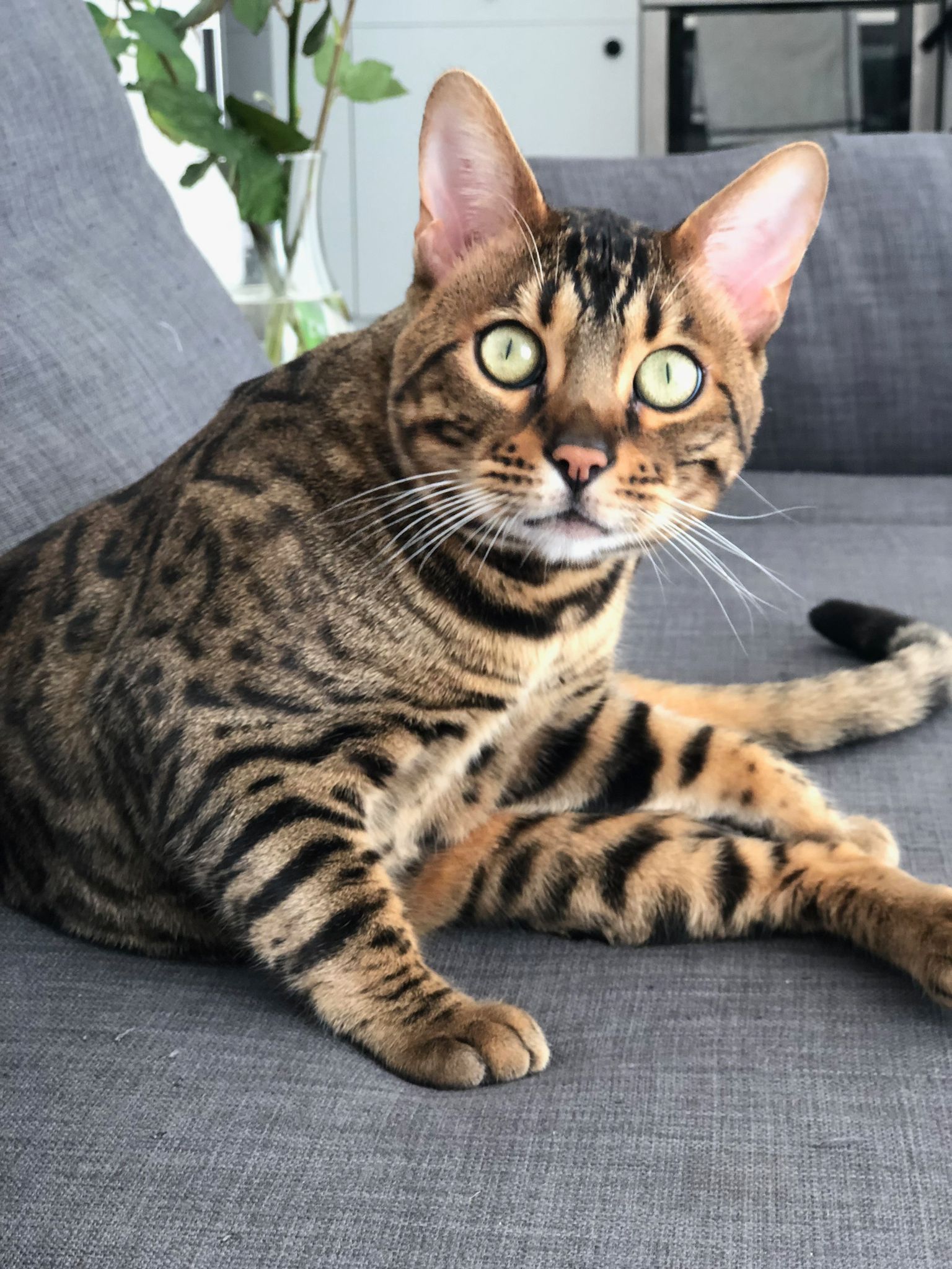 WhatsApp Image 2024-09-24 à 22.56.18_46f91a18