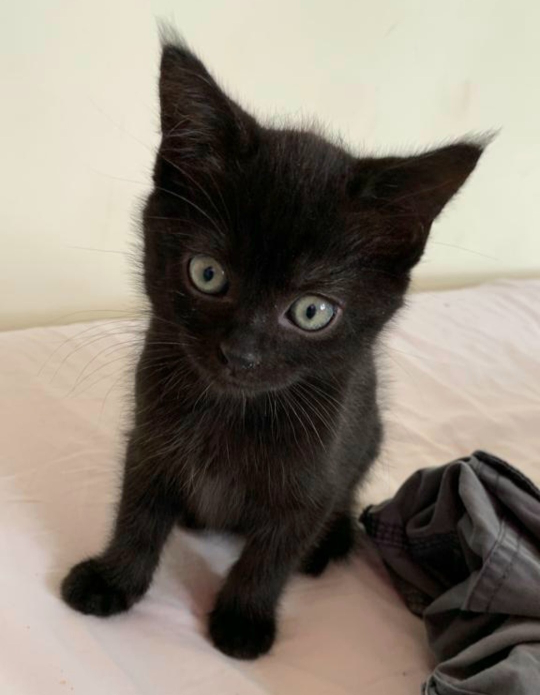 Screenshot_20241020_103058_Gallery