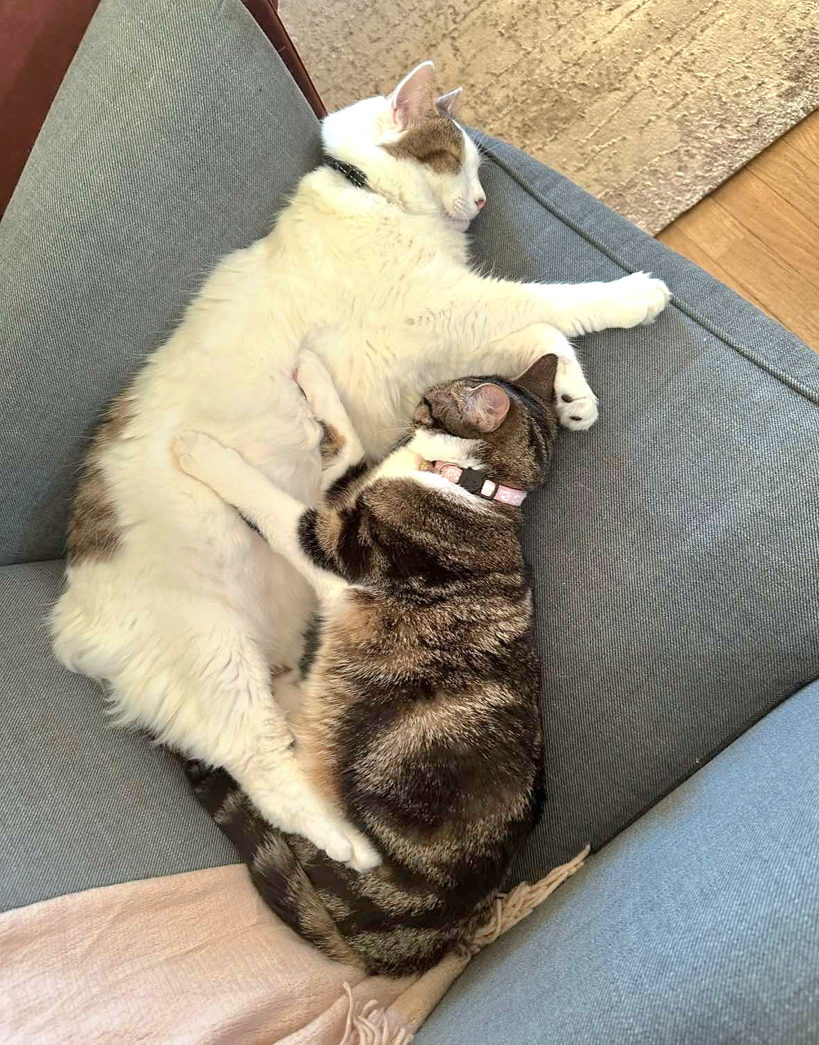 received_1047142497064103