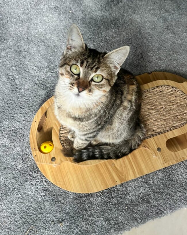 Nina
