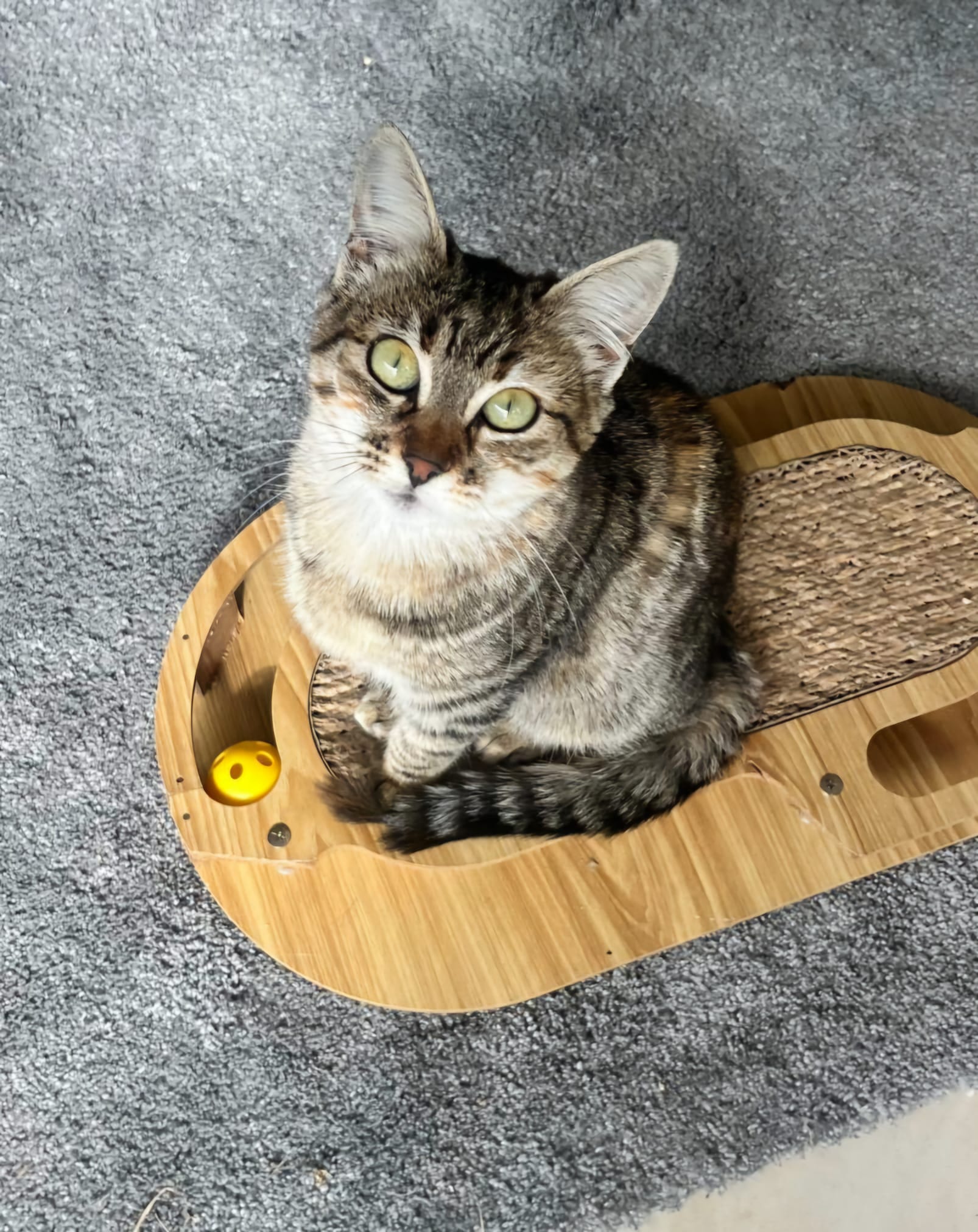 Nina