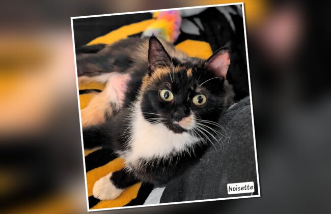 InCollage_20260407_143020584