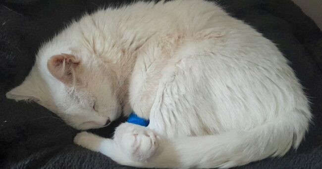 487311855_1033164808858878_3945920898719263674_n