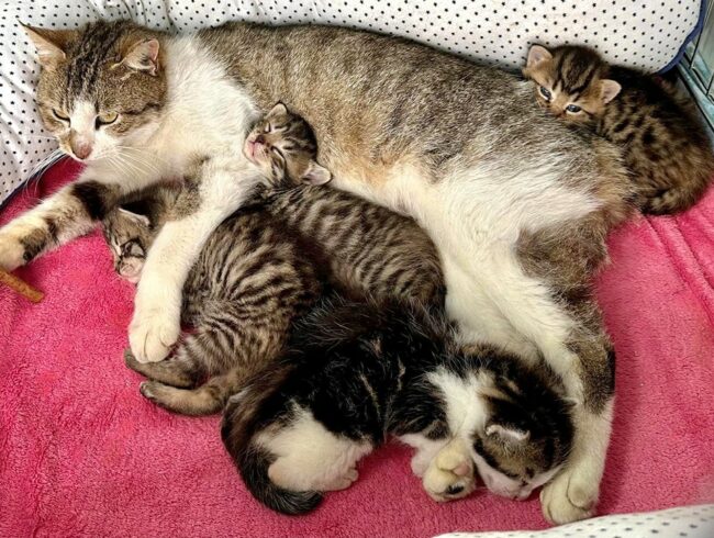 489060570_1041192884722737_8799019536157126006_n