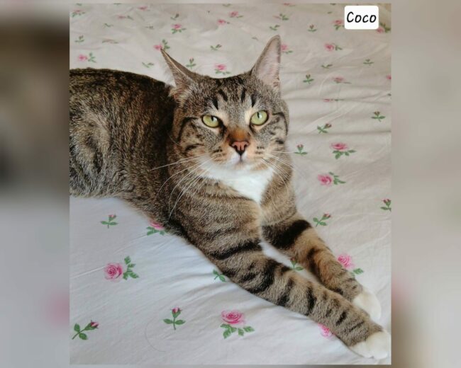 InCollage_20250708_213242140