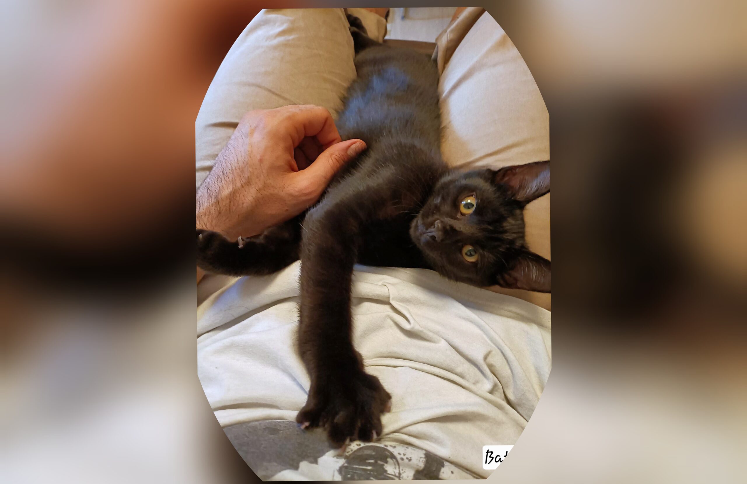 InCollage_20250612_143127525