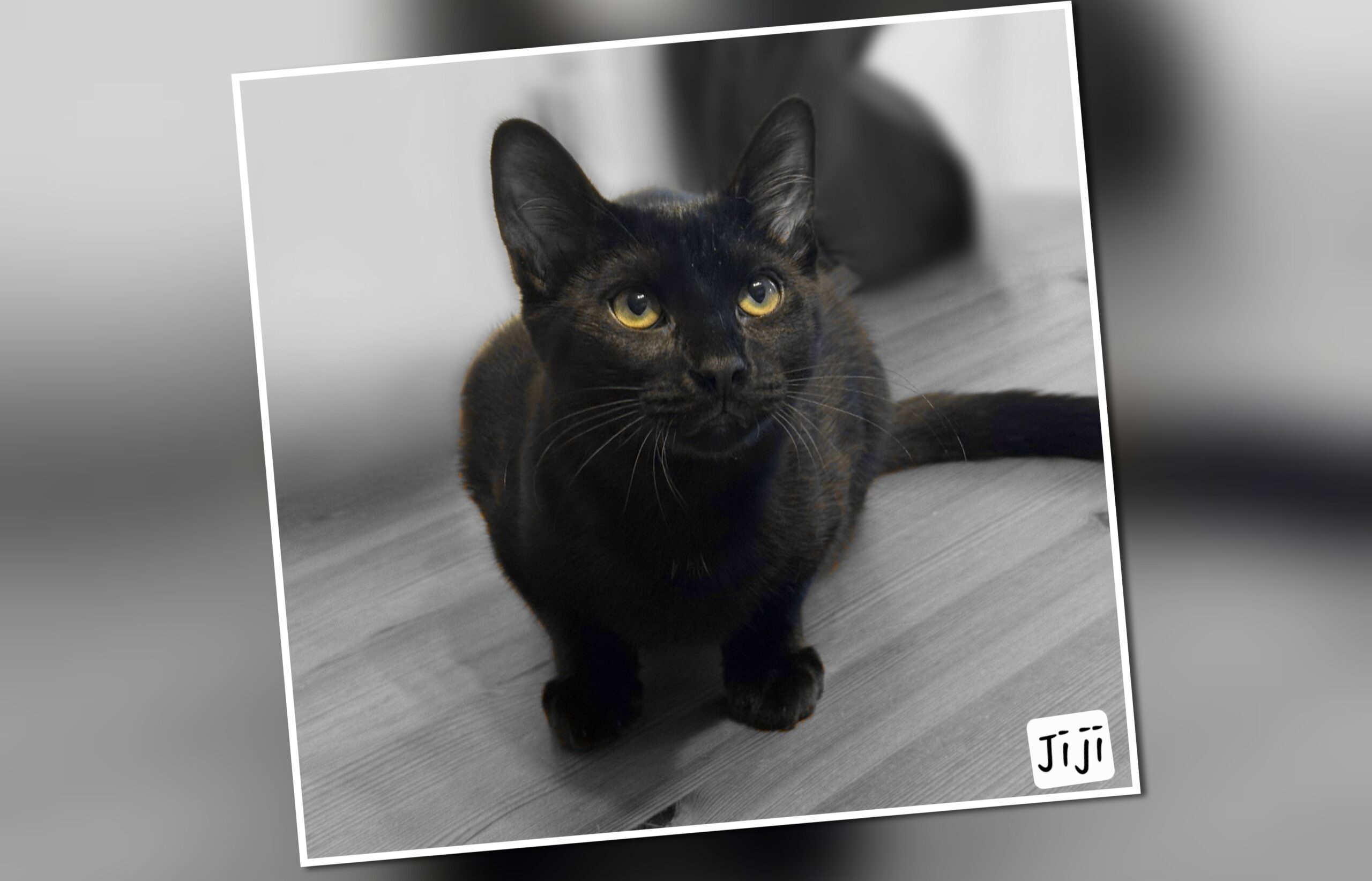 InCollage_20250803_204159939