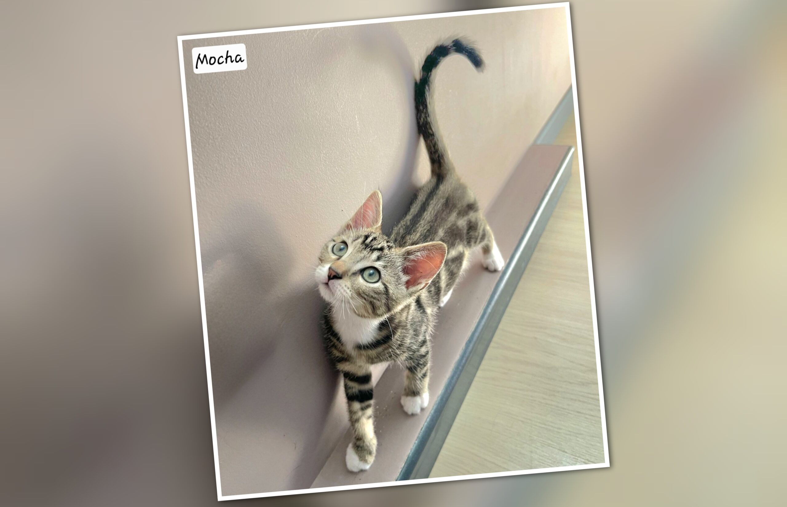 InCollage_20250714_162126110