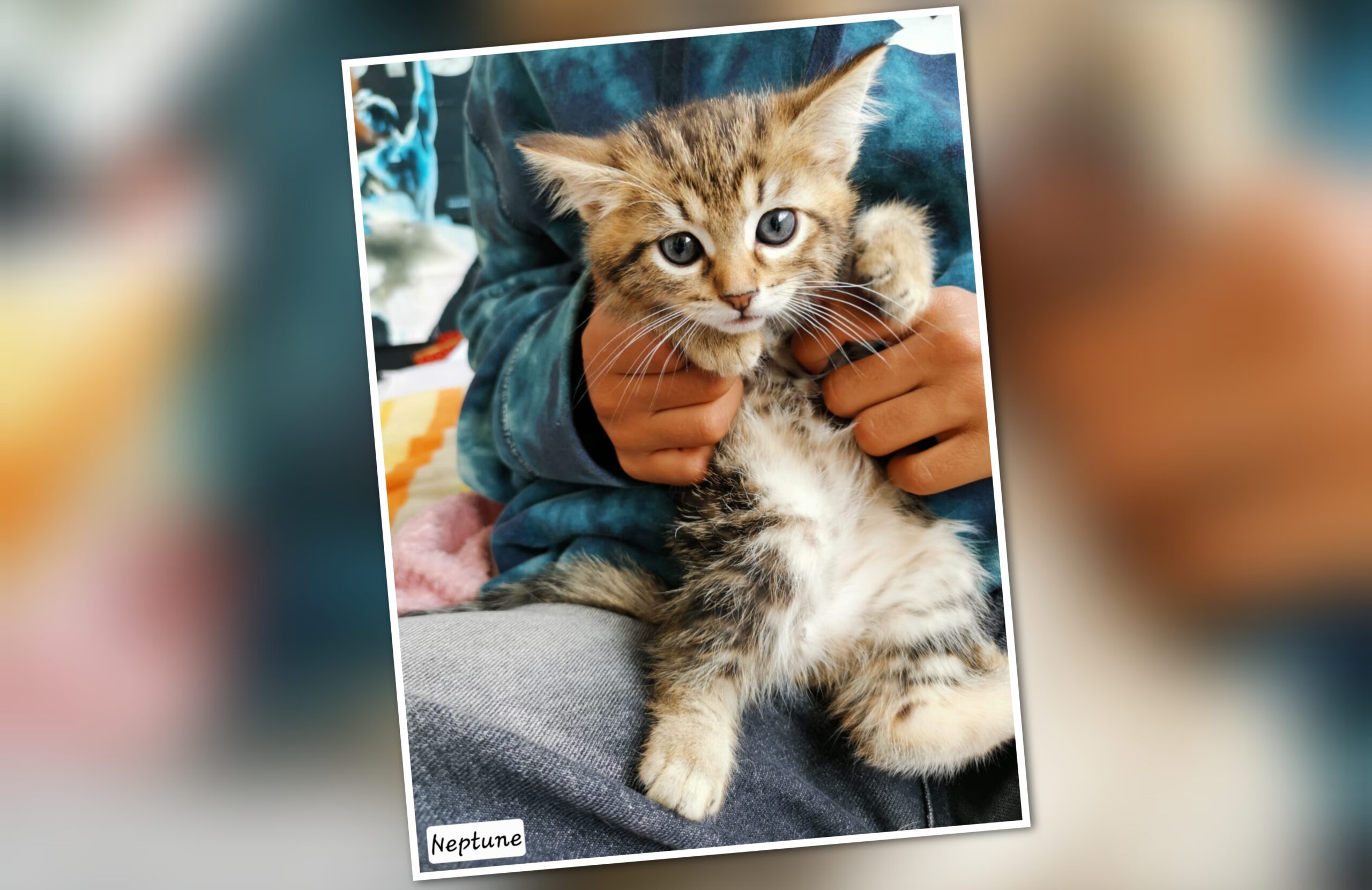 InCollage_20250715_212719829