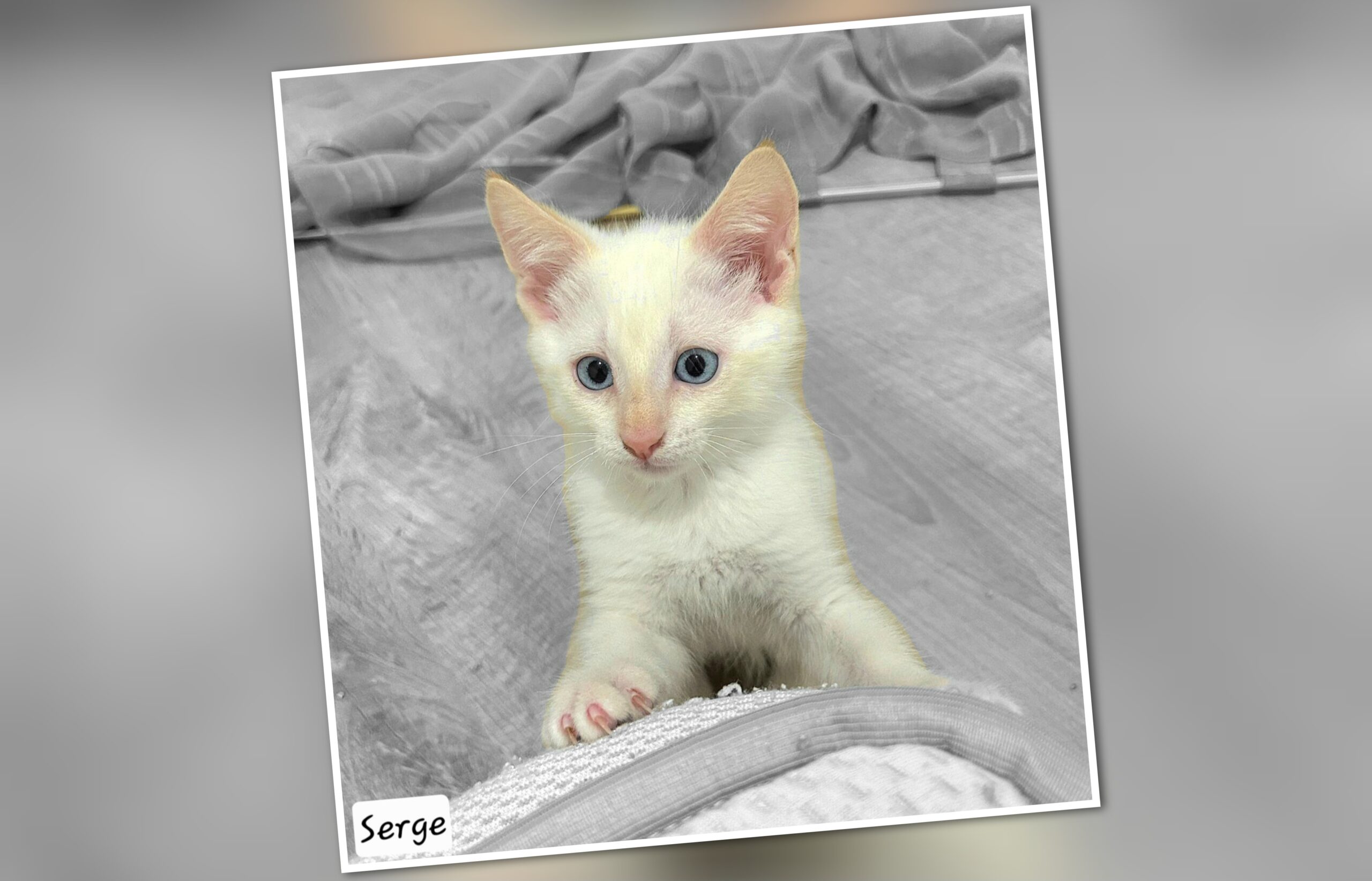 InCollage_20250723_205304866