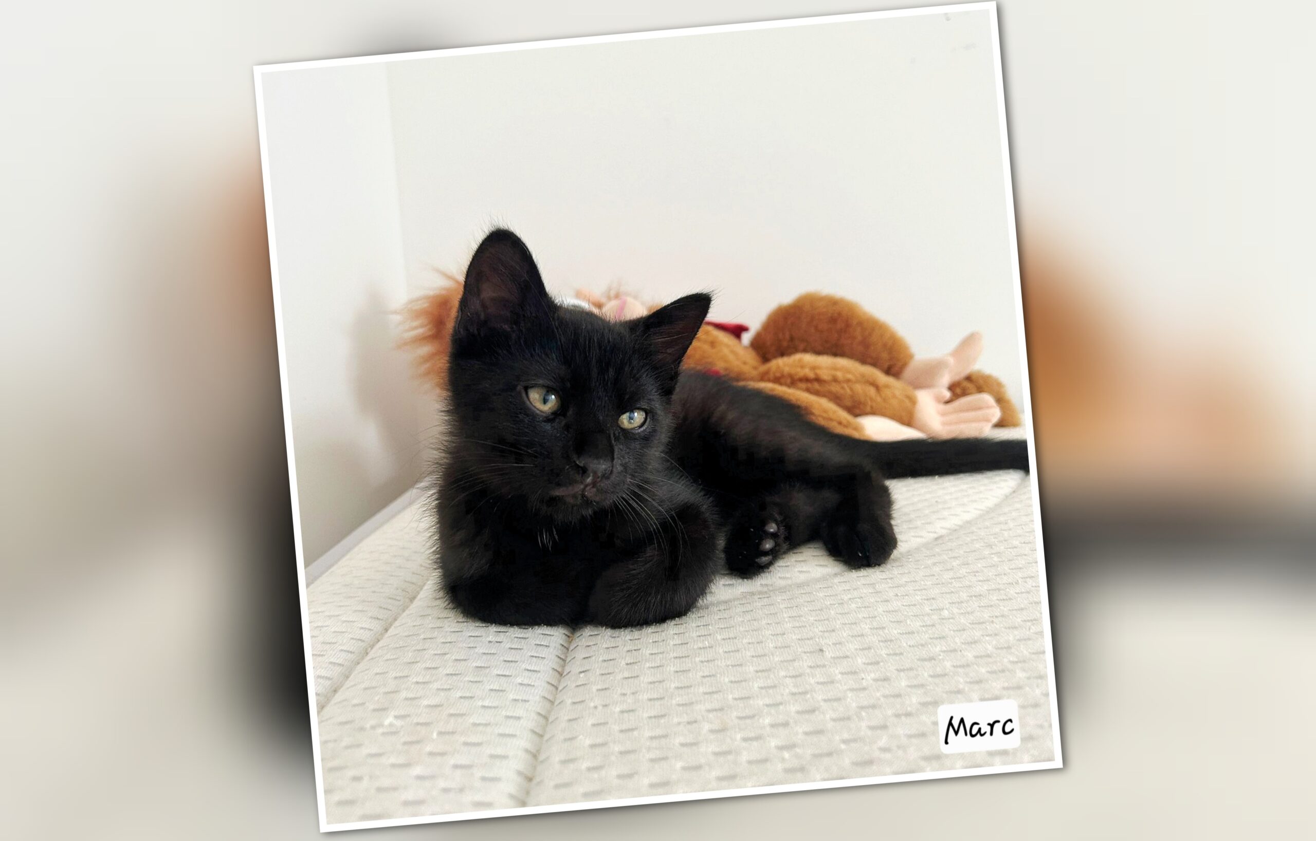 InCollage_20250725_103337676