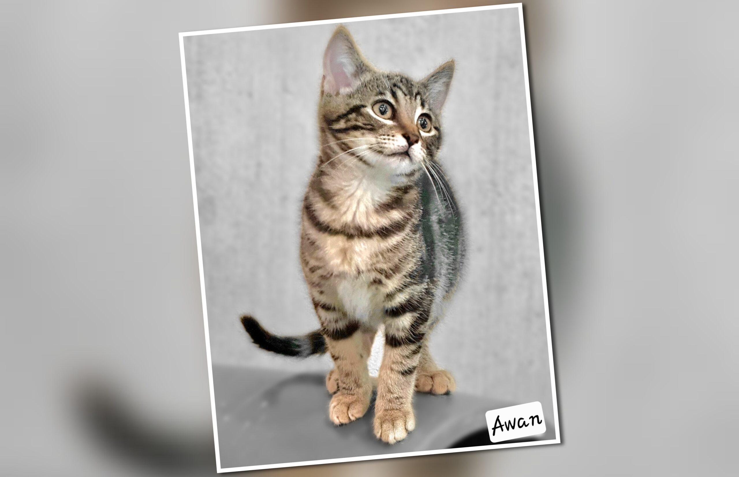 InCollage_20250731_144059247