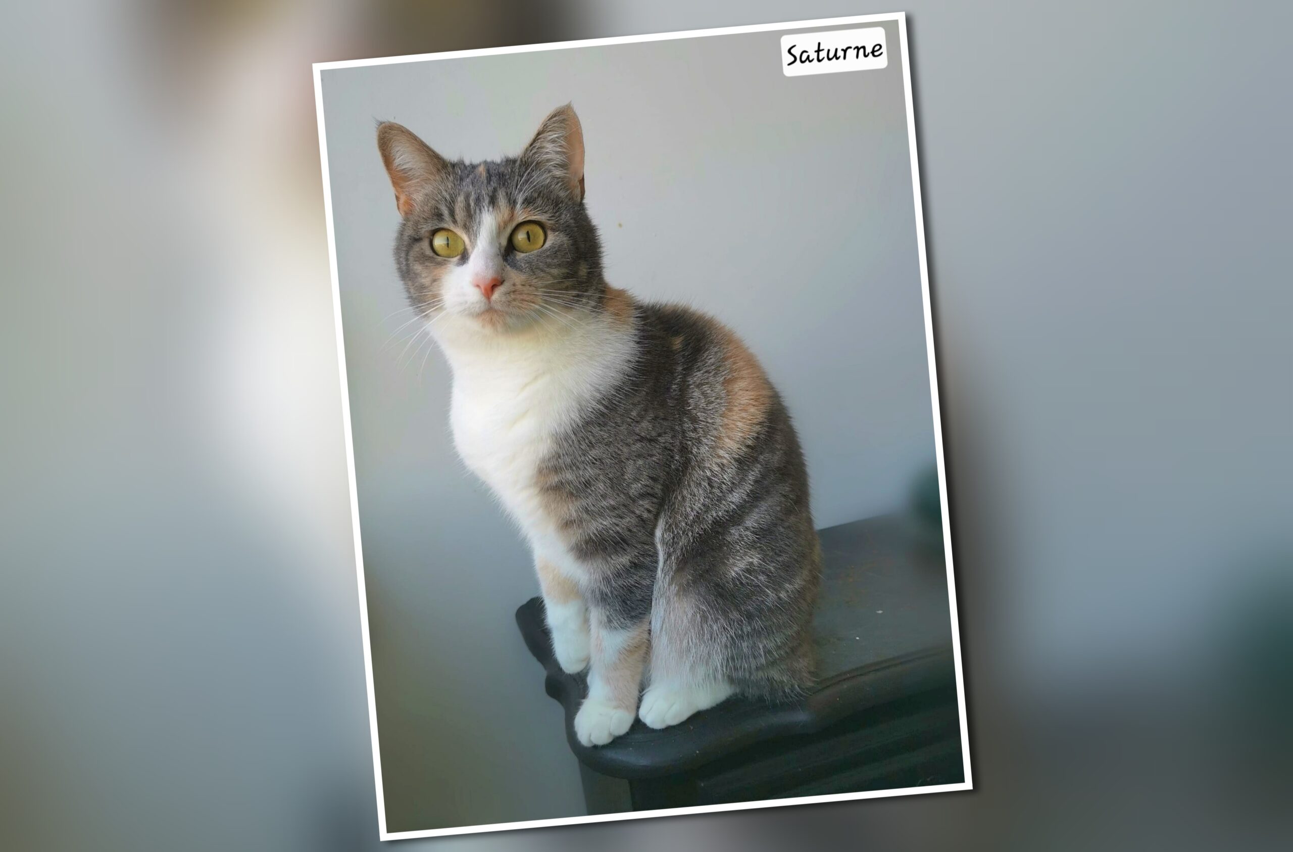 InCollage_20251124_220920749