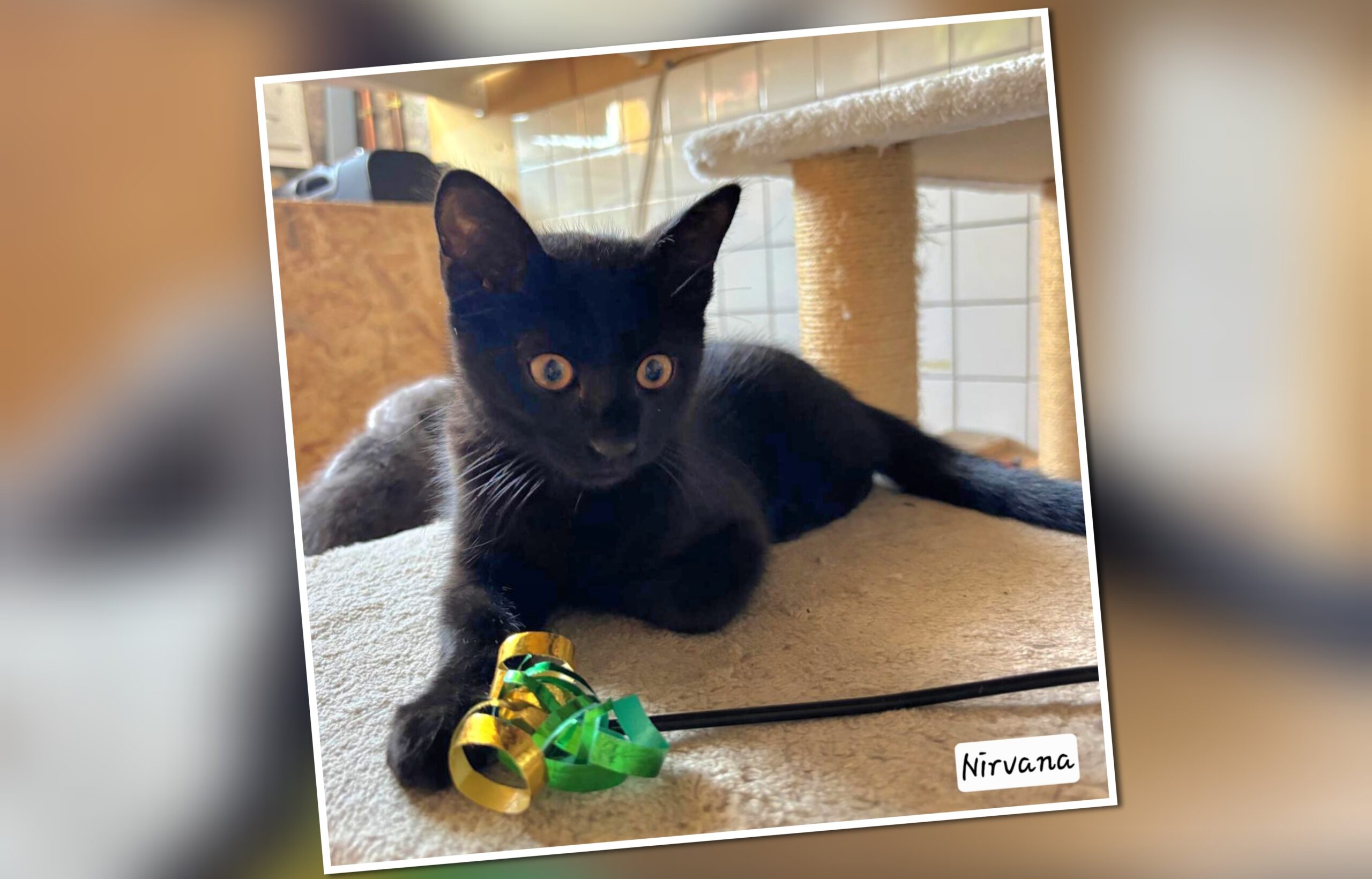 InCollage_20250801_212822482