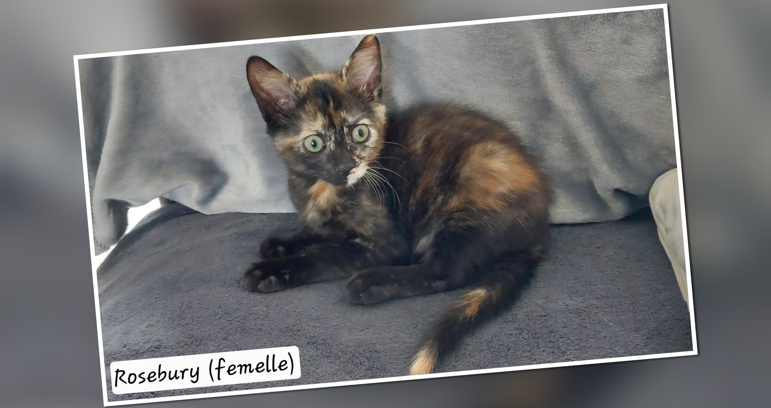 InCollage_20250803_142843158