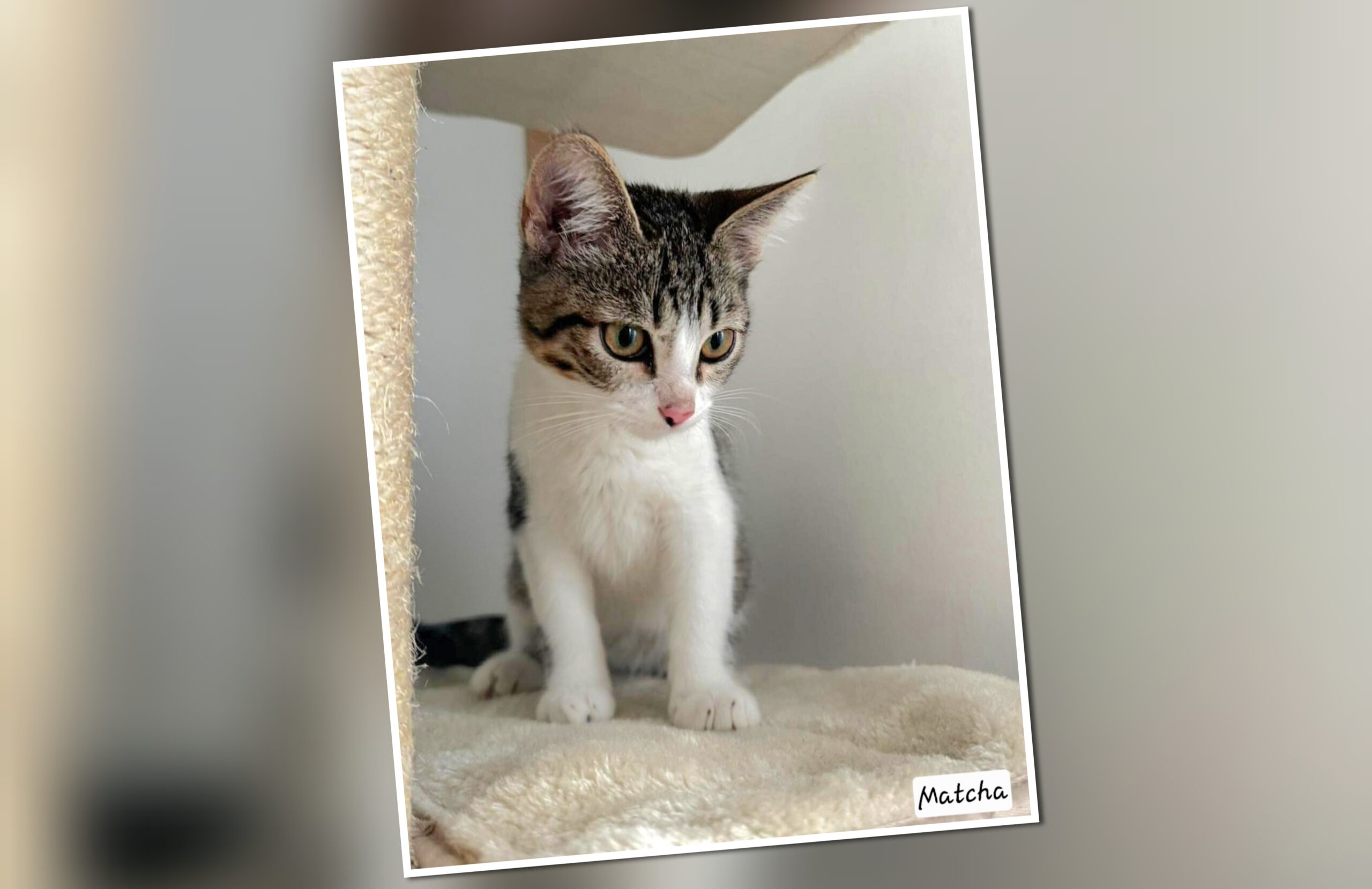 InCollage_20250805_191548158