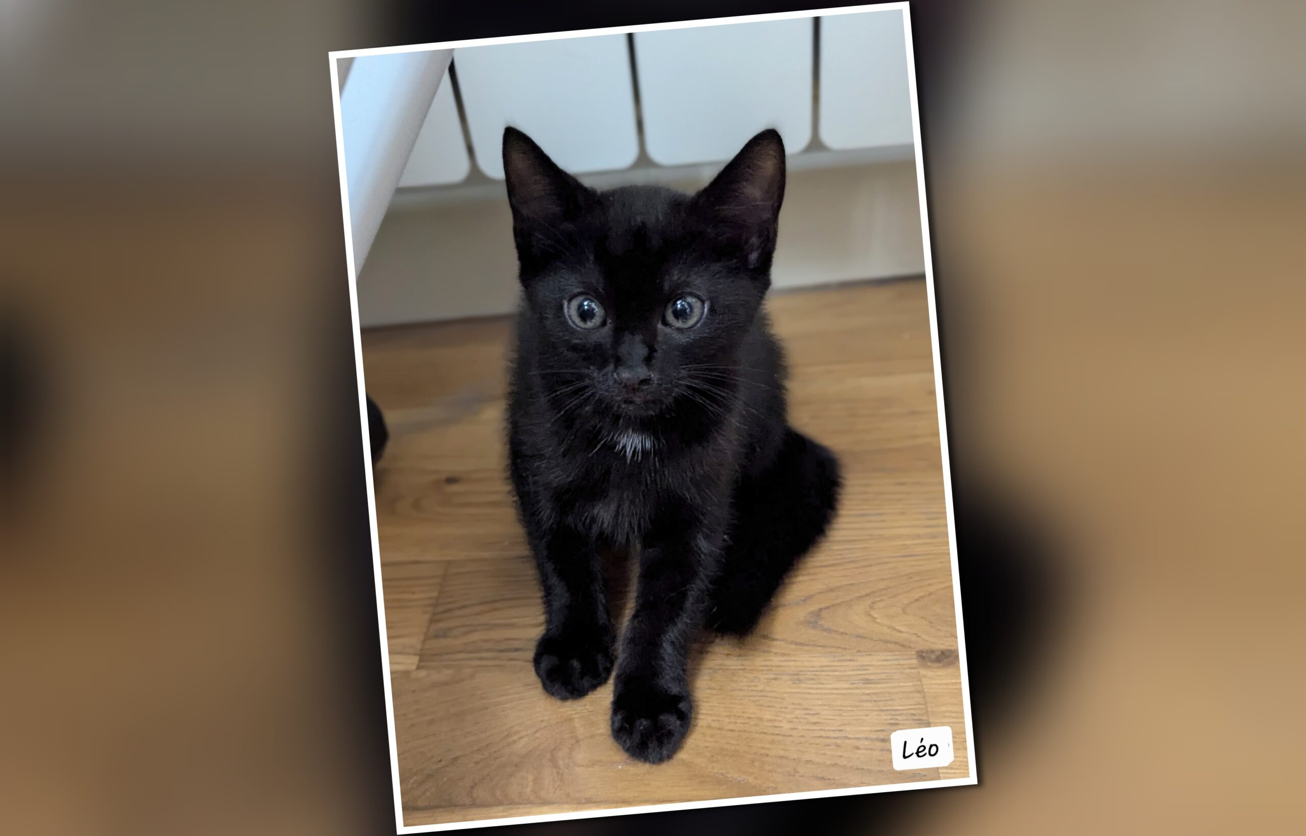 InCollage_20250817_194743278